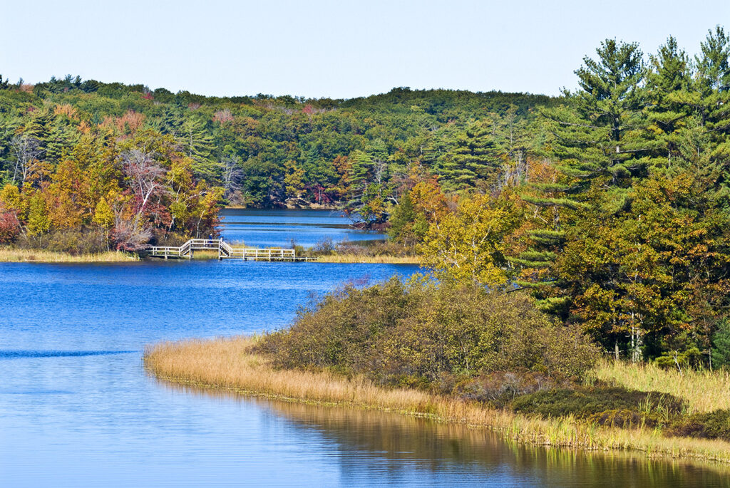 Ludington State Park